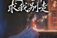 完结版《我进宫和离，渣夫却求我别走》章节阅读-读书翁