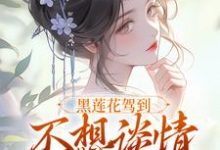 黑莲花驾到，不想谈情只想晋升小说的免费阅读版本在哪里可以找到？-读书翁