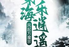 风起万魔宗，东海乐逍遥王铮血云子小说完结版章节在线阅读-读书翁