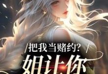 求把我当赌约？姐让你跪地求饶小说免费资源-读书翁