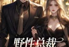 野性总裁穿上娇夫马甲小说的无弹窗阅读体验，寻找免费阅读网站-读书翁