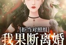 拒当对照组，我果断离婚逃离渣夫江月周颂年，拒当对照组，我果断离婚逃离渣夫章节在线阅读-读书翁