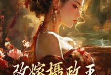 《改嫁摄政王，我复仇虐渣妹》全集免费在线阅读（萧怀沣骆宁）-读书翁