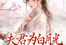 夫君为白月光守身如玉？我成全！小说，夫君为白月光守身如玉？我成全！宋絮晚季墨阳-读书翁